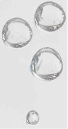 Bulles décoratives